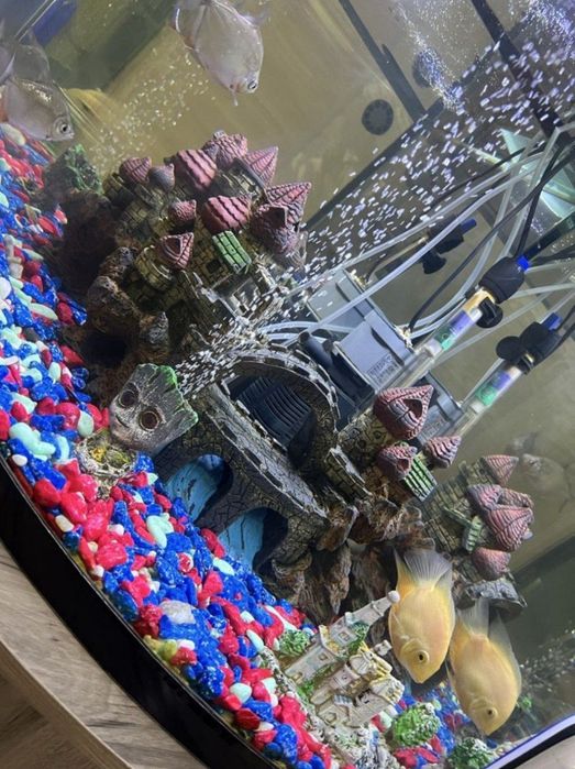 Аквариум сотилади