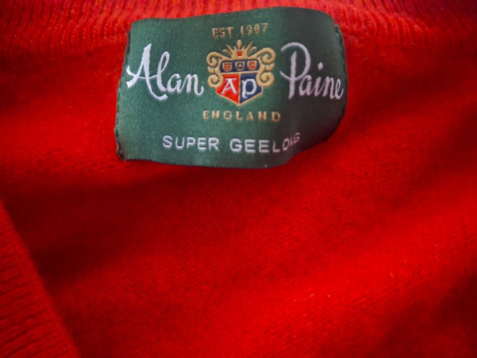Pulover Alan Paine
