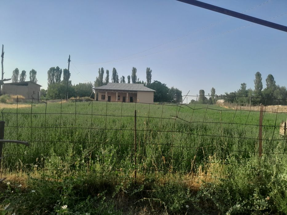 10 sotug er satiladi