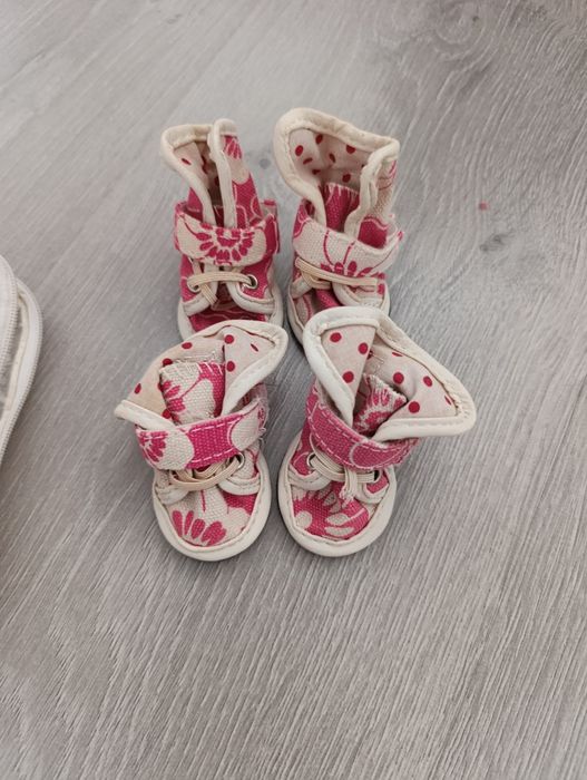 Обувь для маленькой породы собак