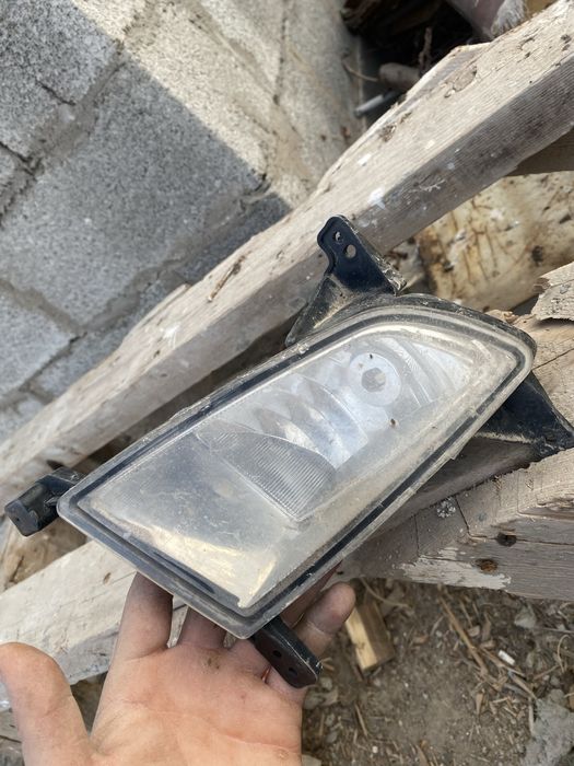 Прирора туманка