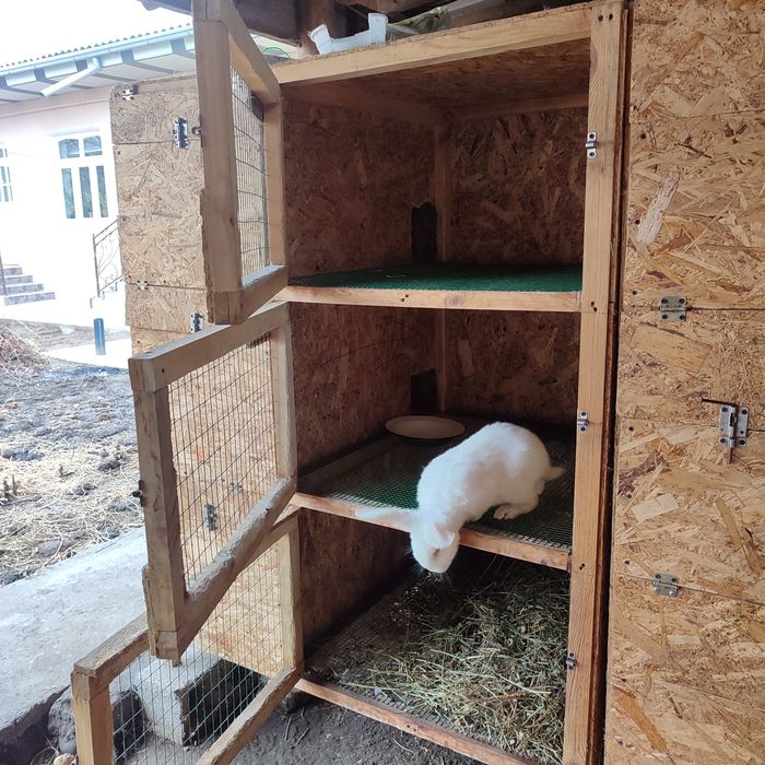 Quyonga in.Holati yangi .