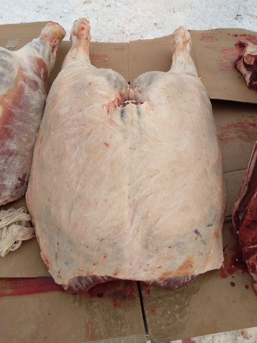 Касапшы касапшы.