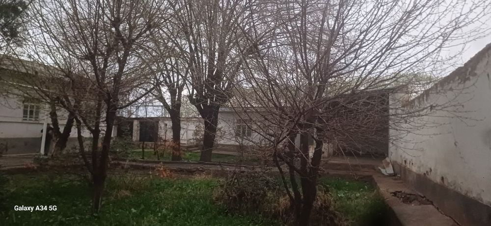 Sherobot tumanida 10sotixli hovli uy sotiladi.