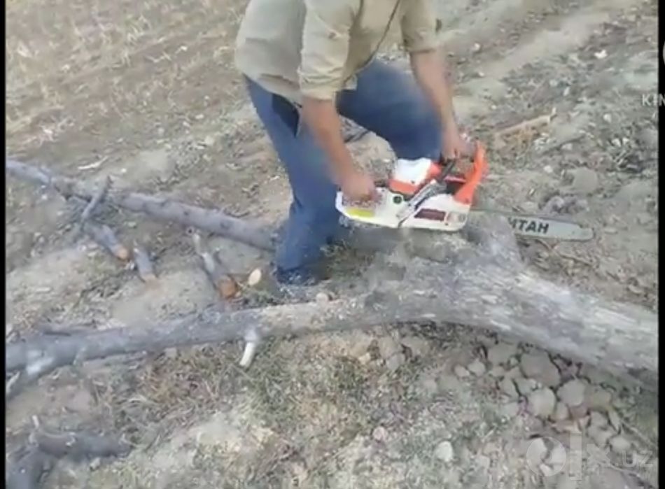 Daraht va o'tinlarni tez va sifatli kesib beramiz
