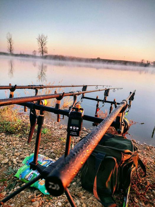 Set lansete pescuti la Crap Daiwa, pret avantajos.