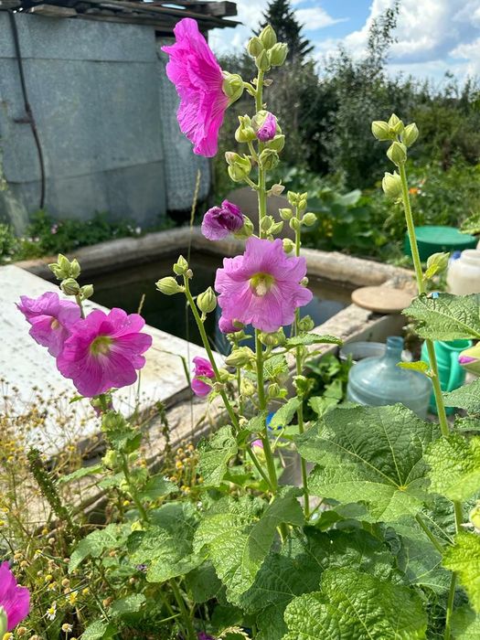 ДАЧА по Красный яр