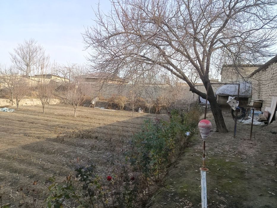 sodikzonberdimurodov