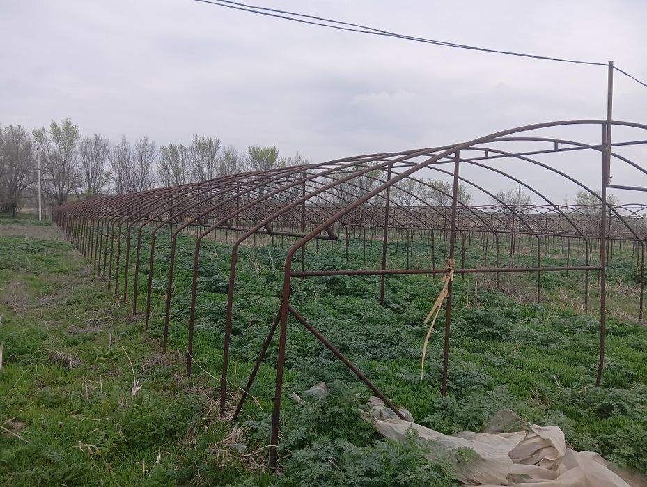 Тепличное хозяйство