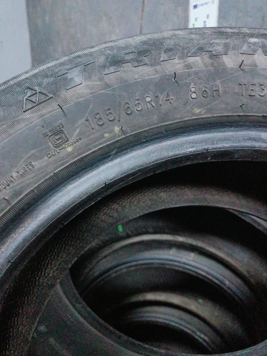 Продам ризину лето