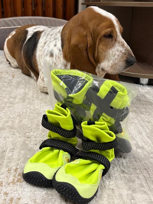 Ботинки доя собак