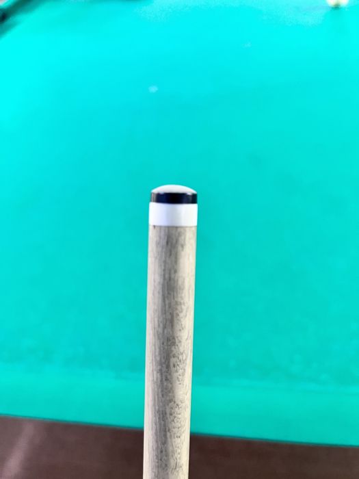 Кий Королев попугай