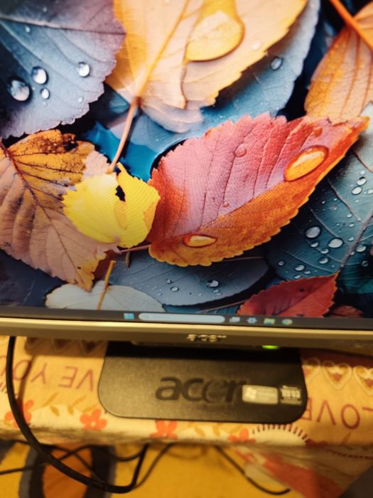 Monitor LCD 17" Acer