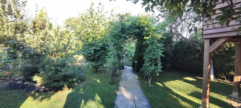 Къща с басейн и просторен двор в с. Скравена.