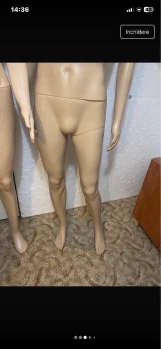 Manechin intreg barbat, demontabil