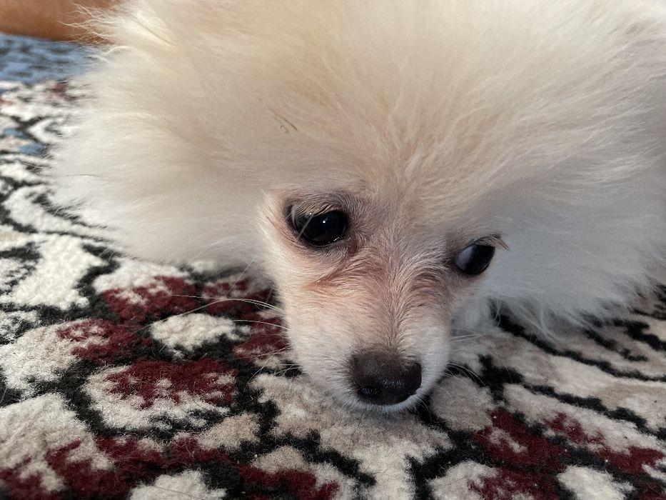 Olgan odam Baraka topadi kelishamiz