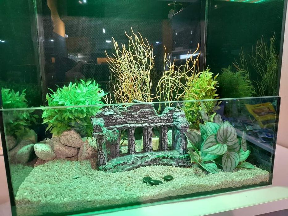 Аквариум аквариум