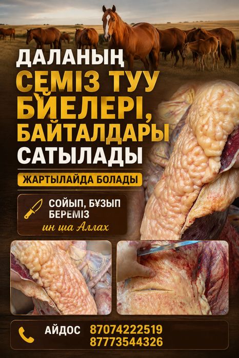 Бие байтал сатылады