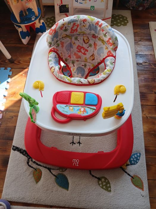 Проходилка/Паяк Мони Зоо