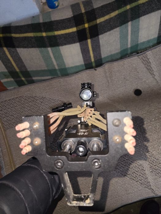 Prastie profesionala