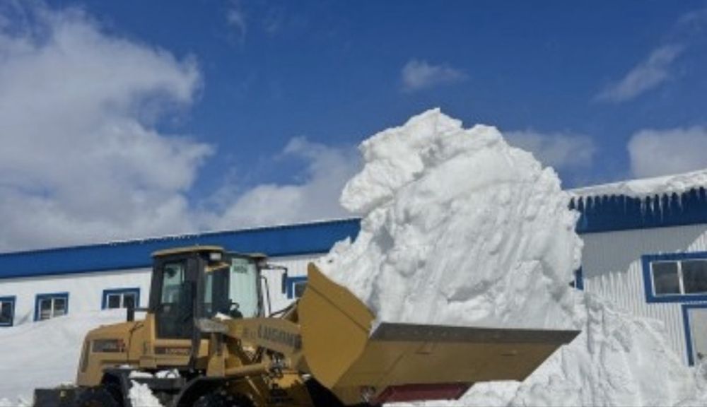 Услуги погрузчика