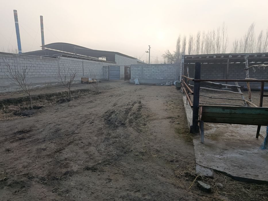 Ferma mol qoʻy boqishga