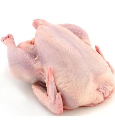 Куры бройлер оптом