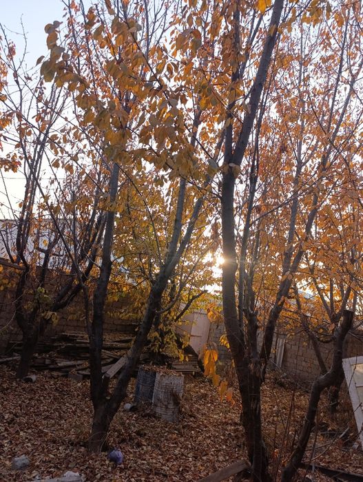 Ер сотилади срочна срочна