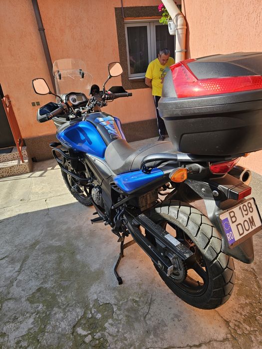 Suzuki v strome 650