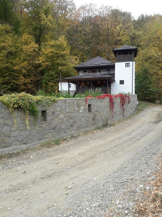 Inchiriez pensiunea "CASA cu TURN" in statiunea Sarata Monteoru