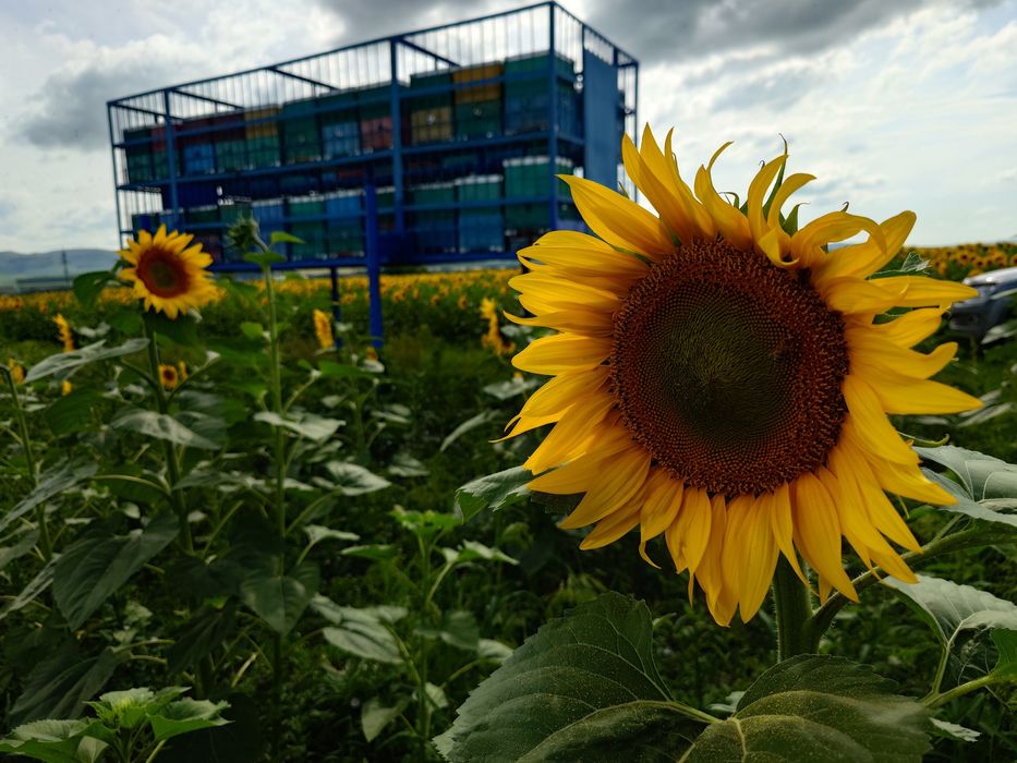 Мёд натуральный с пасеки.