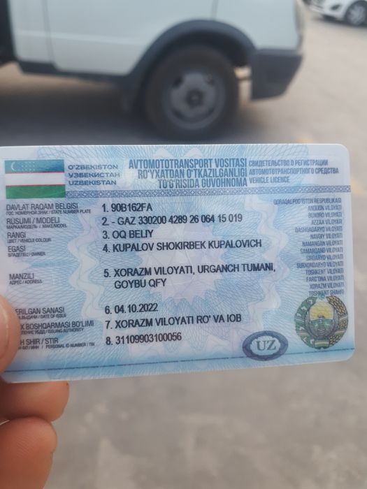 Gazel 2013 tiki.120ming yurgan