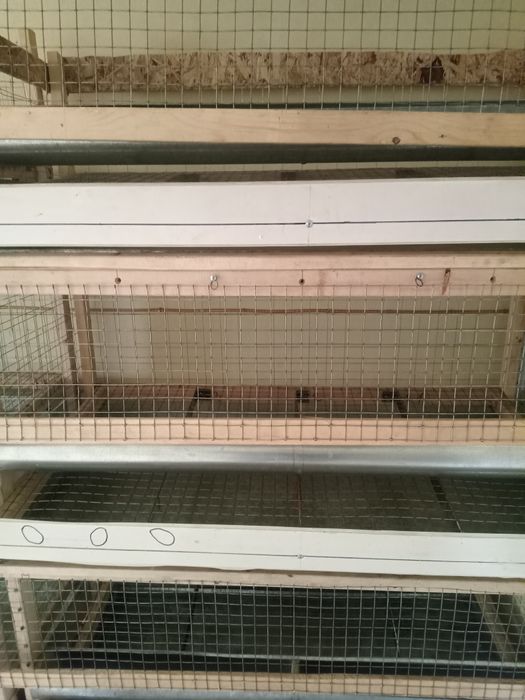 Клетки для курей