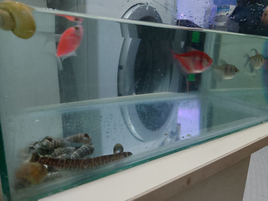 Аквариум хороший состояние