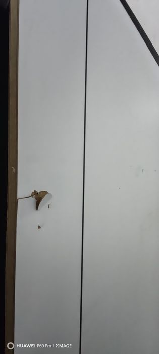 Отдам дверь бесплатно.