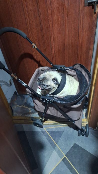 Коляска для животных