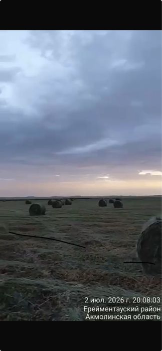 Продам сено с доставкой