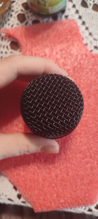 Глава за микрофон