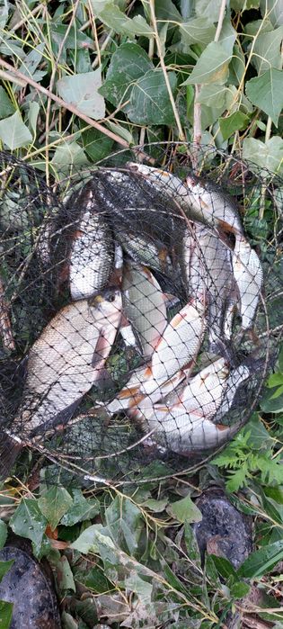 Продам дачу, район Телецентра СО "Кристалл"