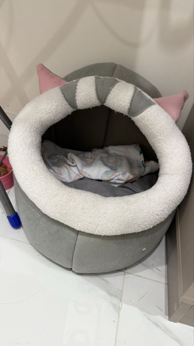 Котенок 3месяца