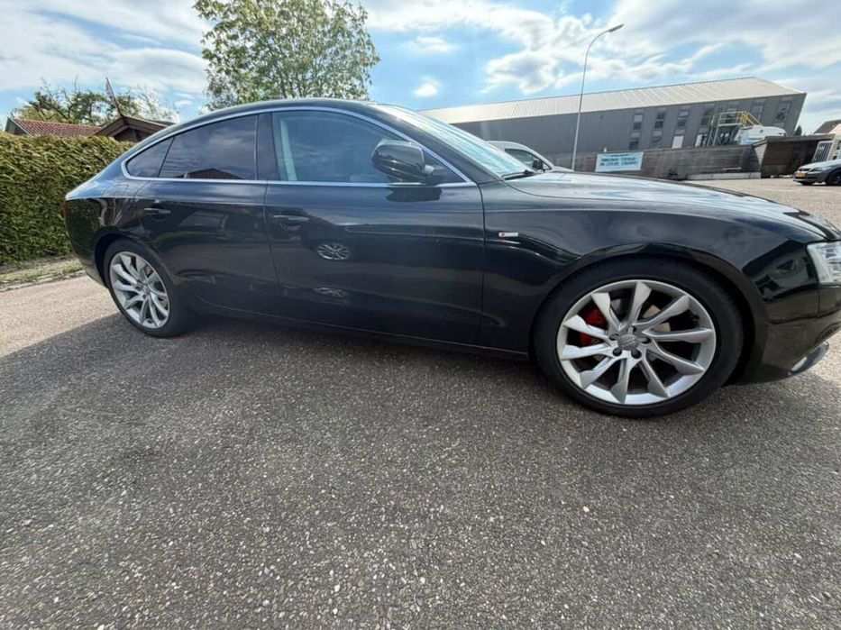 Vand genti audi