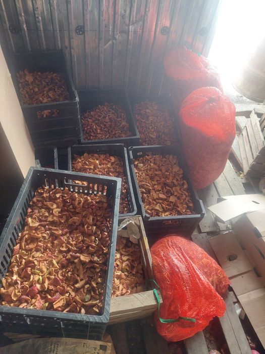 Сухофрукты находимся Есике