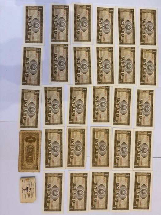 Bagnote de 1 leu 1966