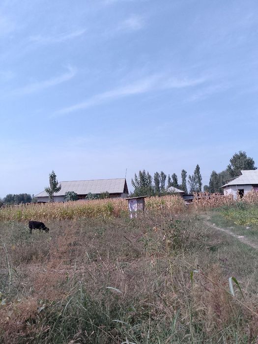 Участка сотлади 12сутик пискентдаа