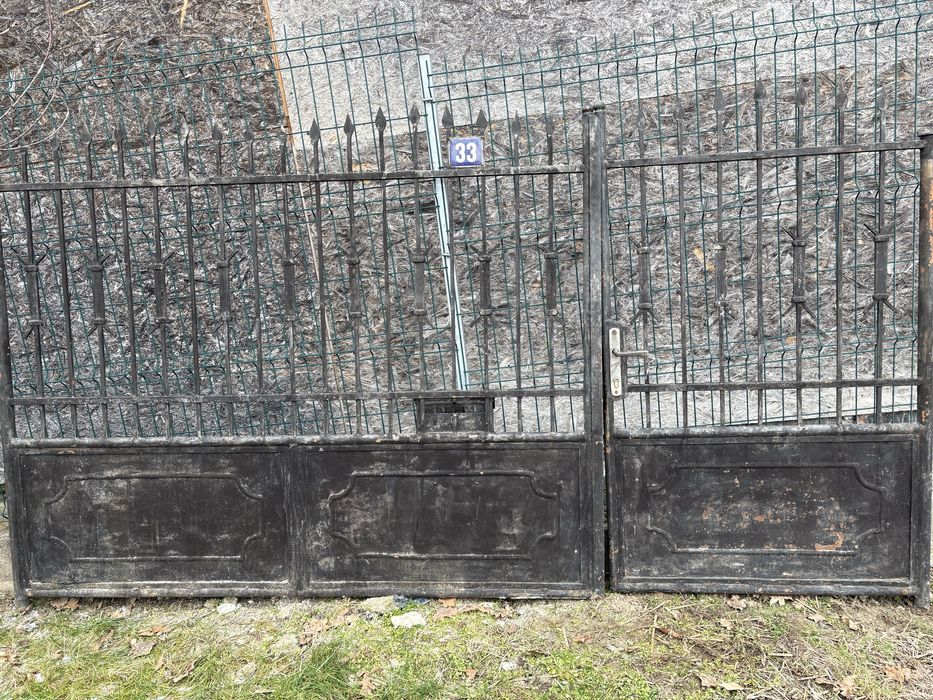 Poarta pietonala + poarta auto