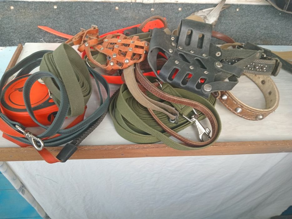 Амуниция для собак.