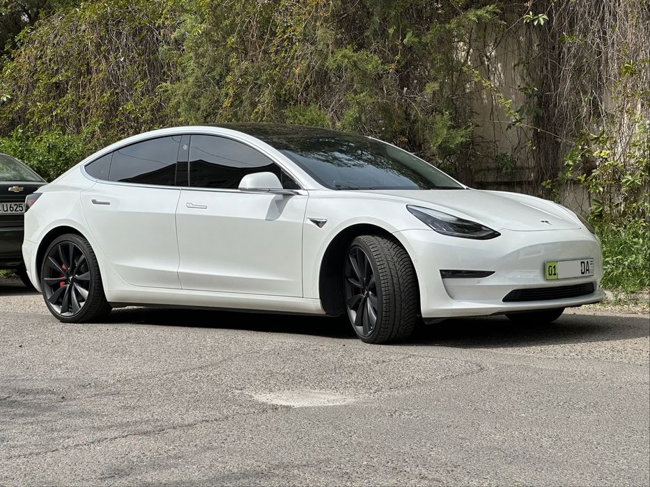 Tesla Model 3 Perfomance