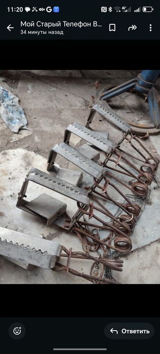 Капкан пищеварочный кател дамас часы