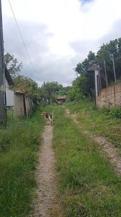 Продава се Парцел в София, Стрелбище - 1763 кв.м за 17 €/кв.м - Снимка #1