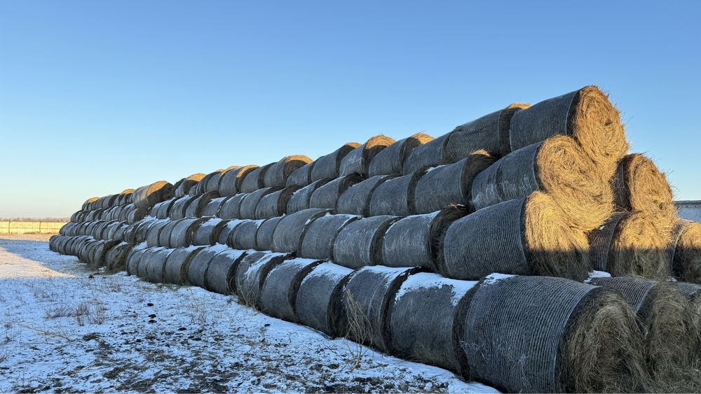 Крестьянское хозяйство